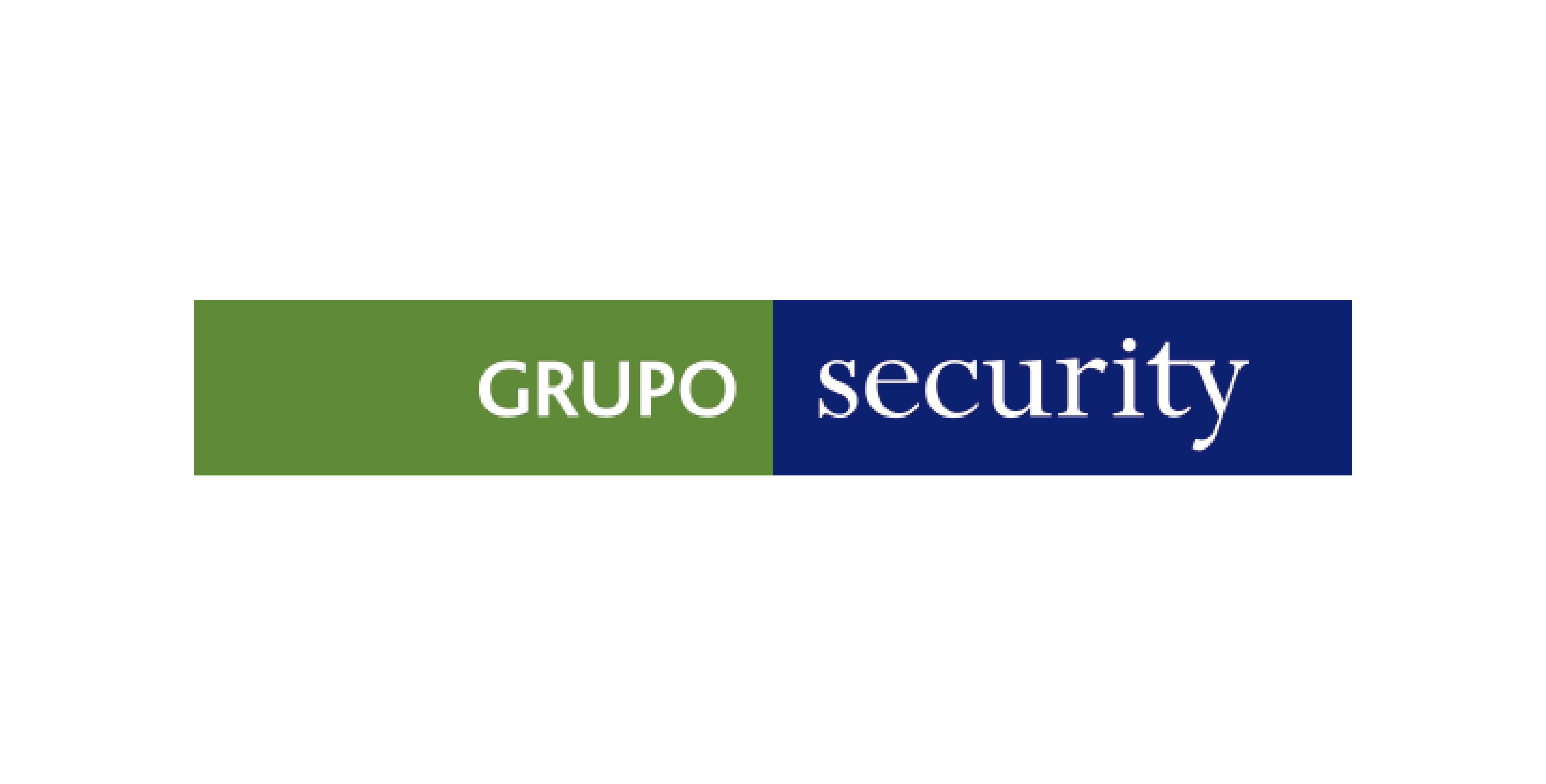 Grupo Security